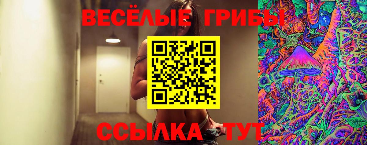 Псилоцибиновые грибы GOLDEN TEACHER Советский